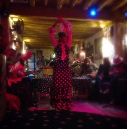 Flamenco Show, Marbella