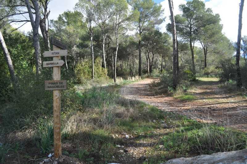 Rutas de senderismo en Marbella - Nagüeles Buenavista Los Monjes